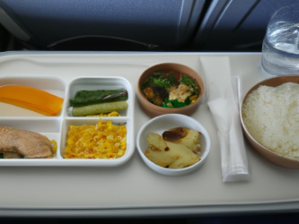 Japanese Dishes